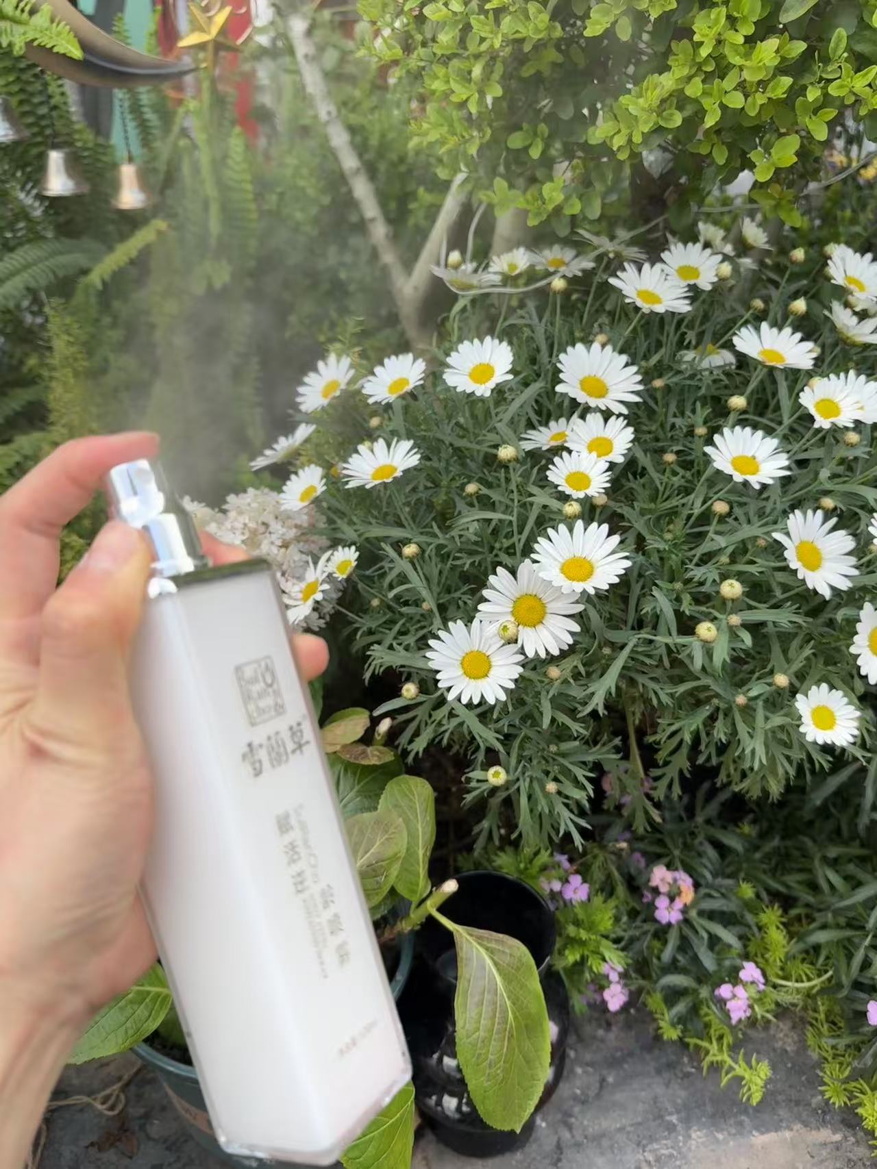 雪蘭草赋活逆龄喷雾图片4