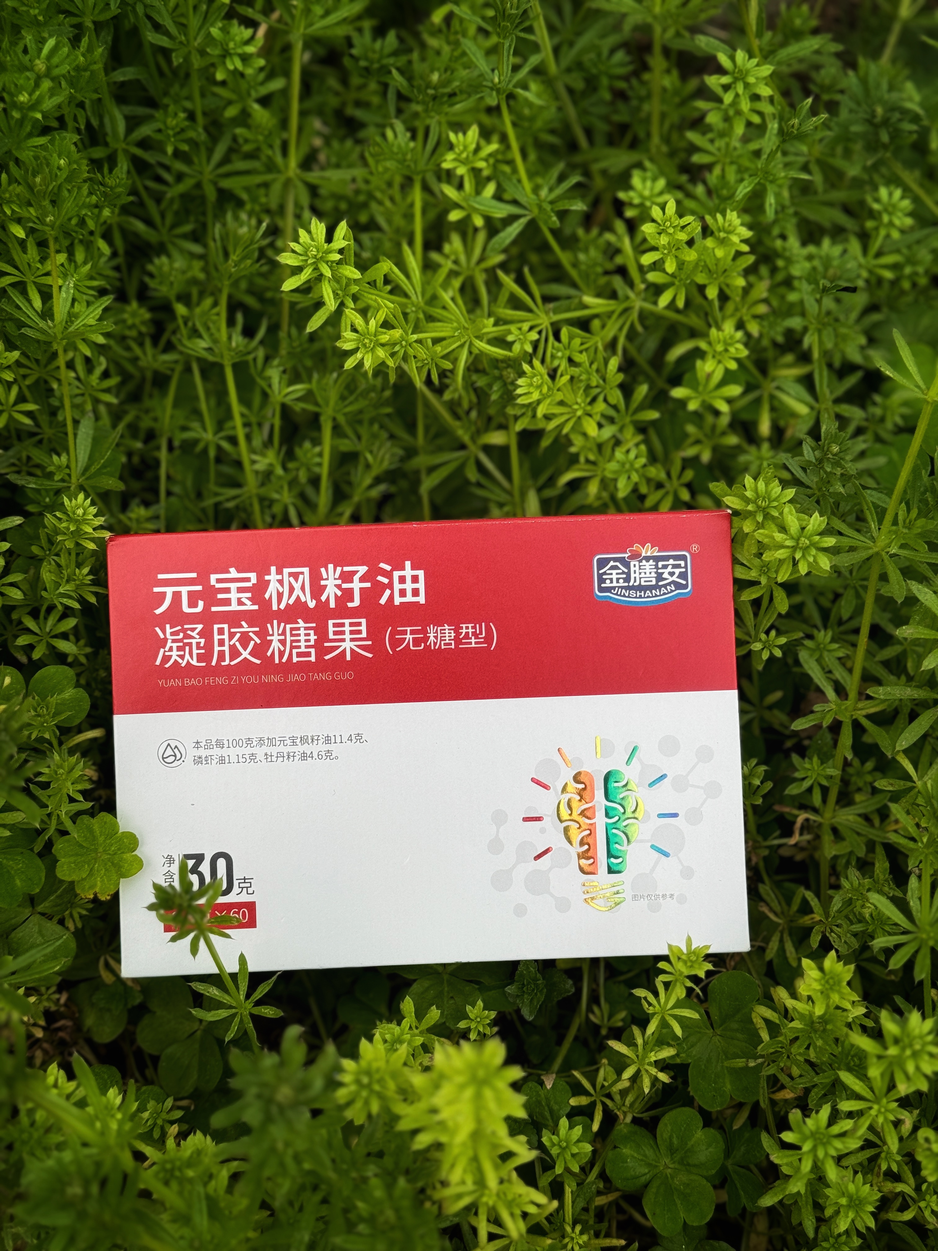 元宝枫籽油凝胶糖果图片3