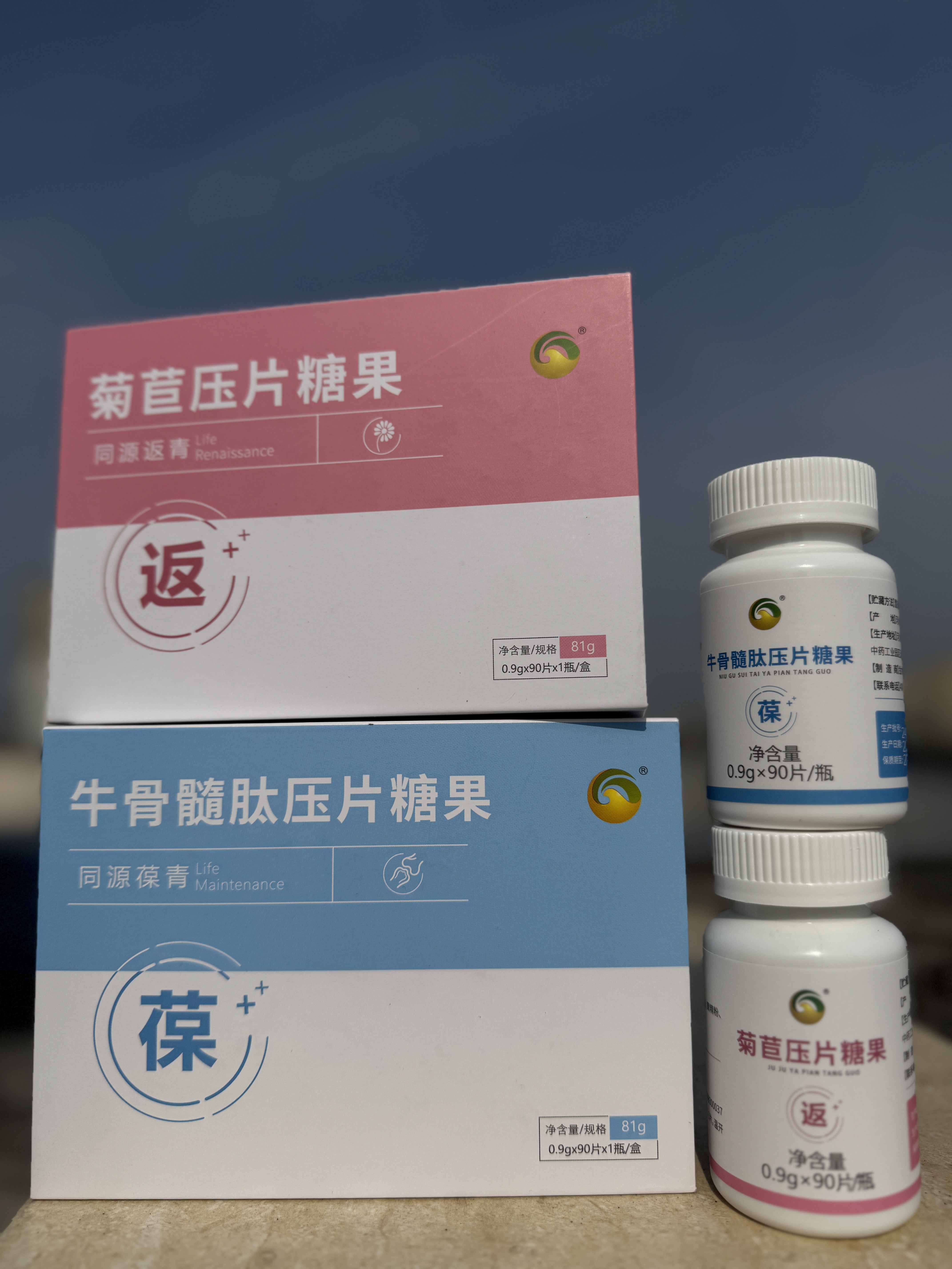 返青菊苣压片糖果图片6