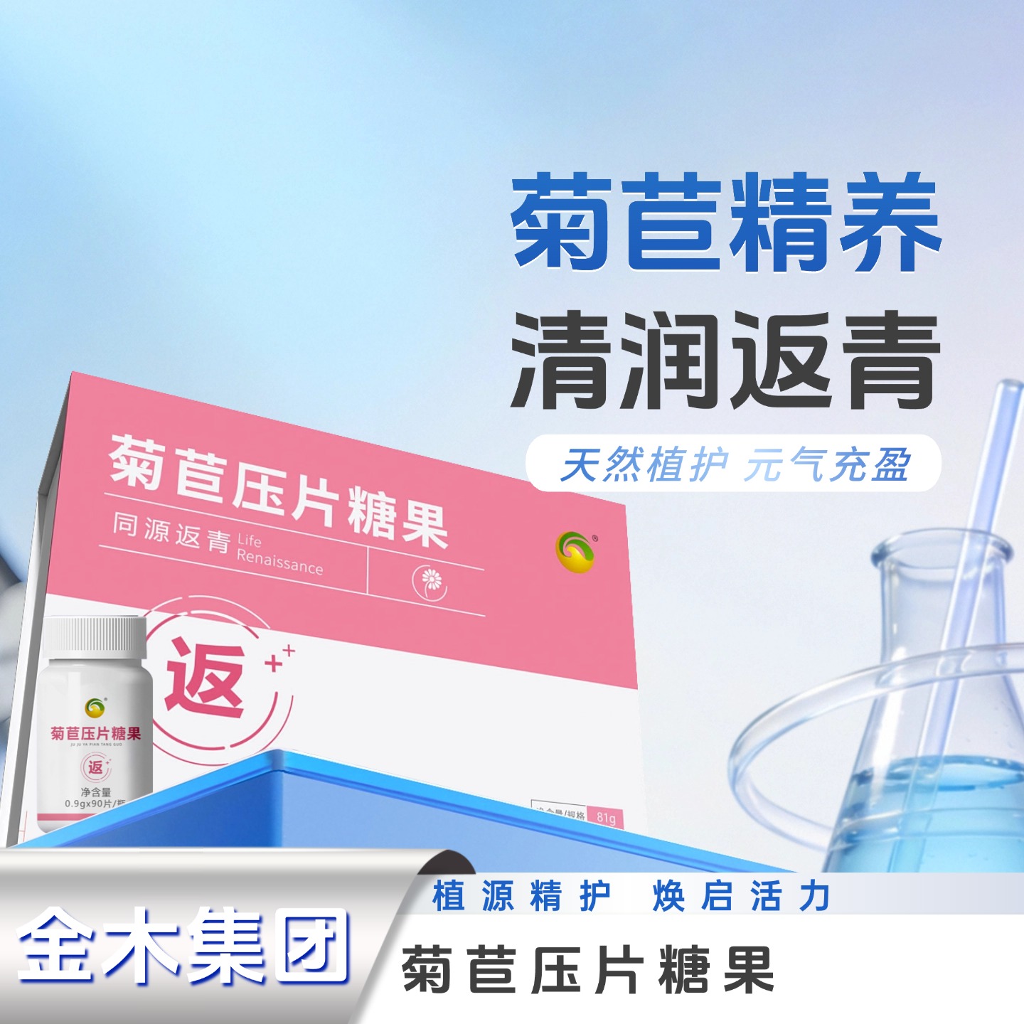 返青菊苣压片糖果